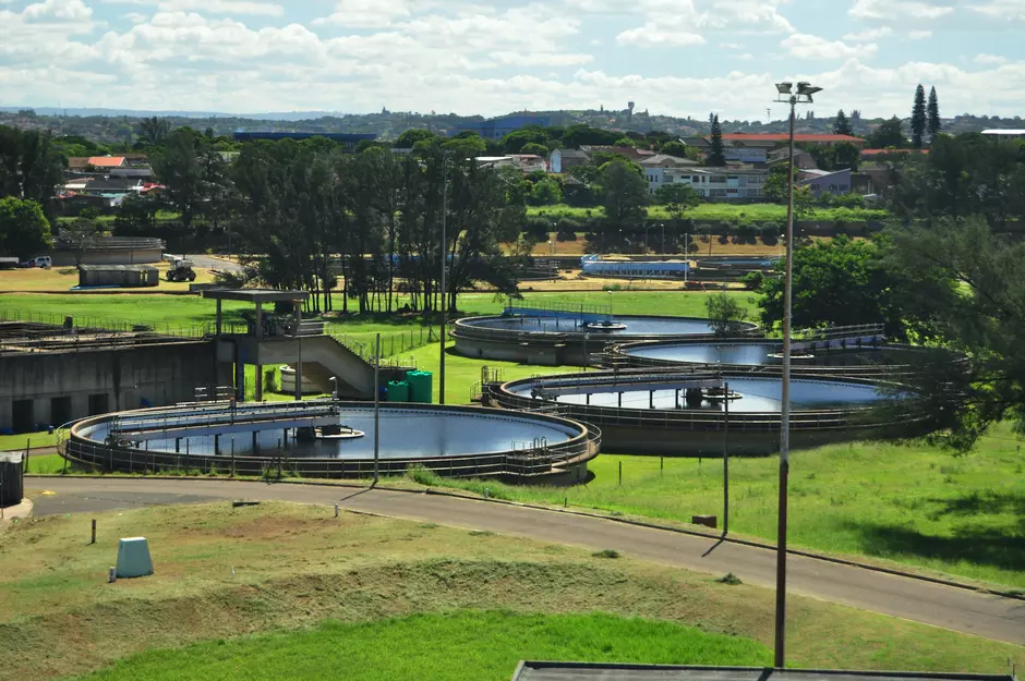 Environmental sustainable ecological solutions